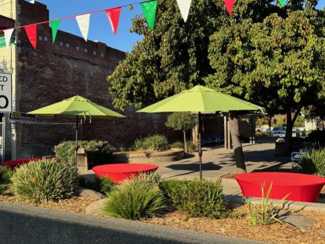 Where to find UMBRELLA, MARKET, LIME, 9 in Concord