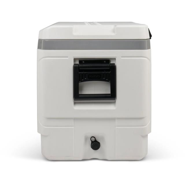 Where to find COOLER, ICECHEST, 150QT in Concord