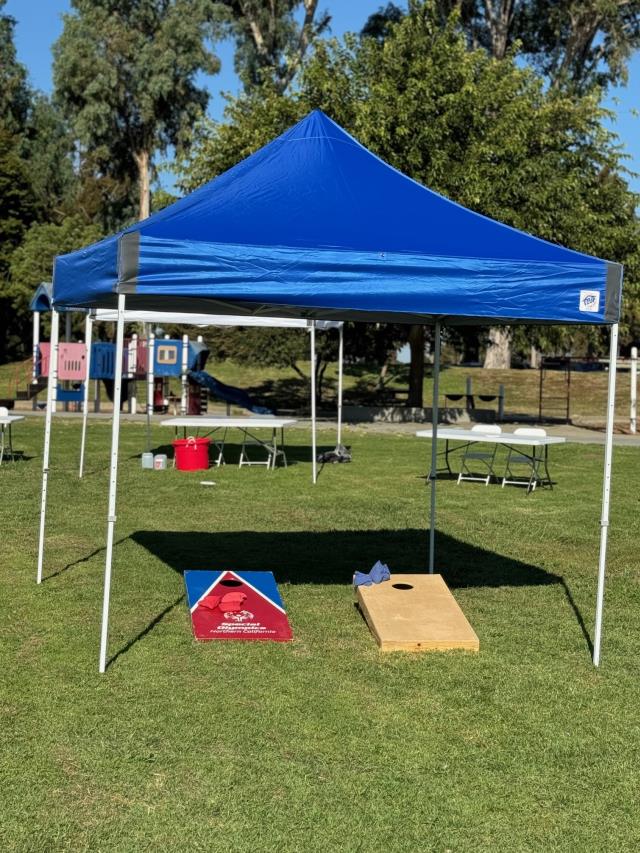 Where to find CANOPY, 10X10, BLUE, in Concord