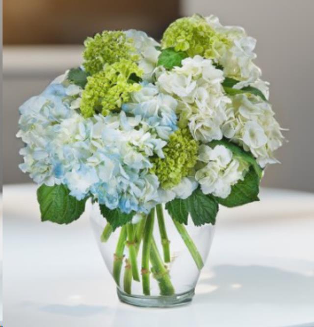 Where to find GLASS VASE- MED 6 in Concord